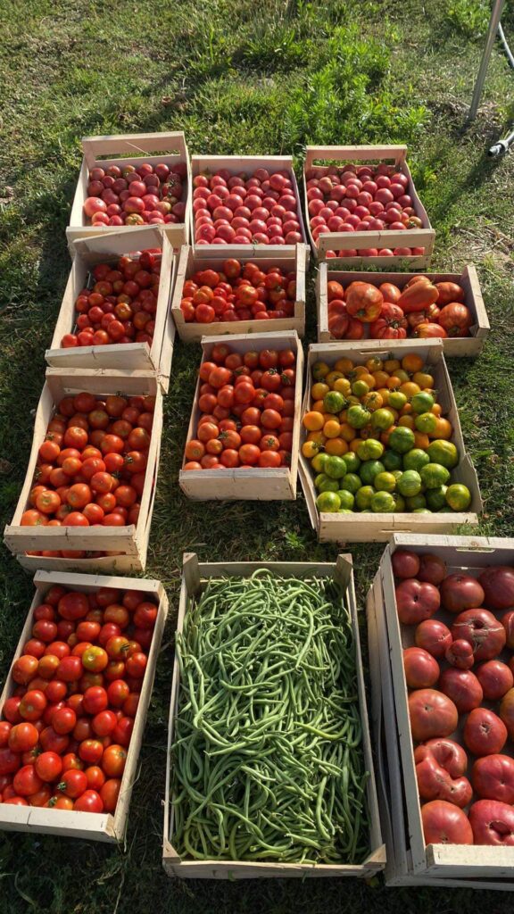 Production bio à Châtellerault