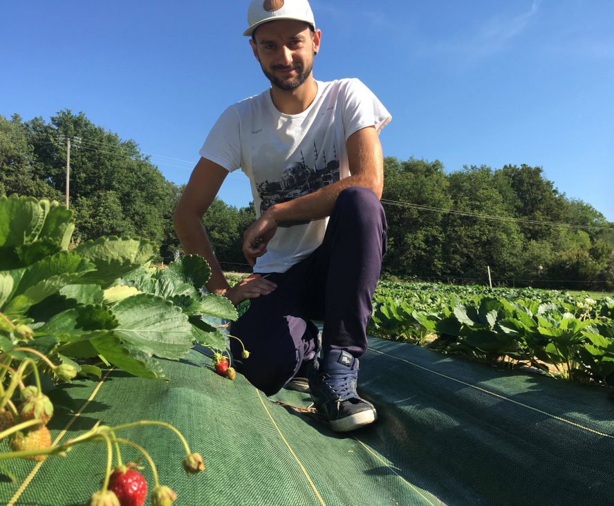 producteur de fraises à Saint-Gervais